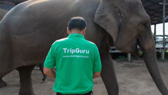 Bangkok: Elephant Sanctuary & Erawan Waterfall Tour