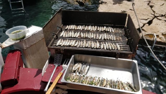 Rovinj: Bootstour zur Roten Insel und zum Limfjord mit Grillen und Schwimmen