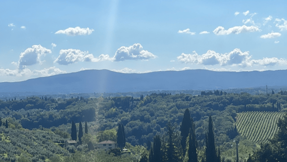 From Florence: Chianti Wine Tastings at Sunset Day Trip