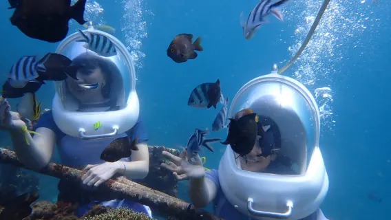 IndonesiaBaliScopri le immersioniimmersioni subacqueeAccesso di 1 ora [Esperienza Sea Walk e Parasailing]