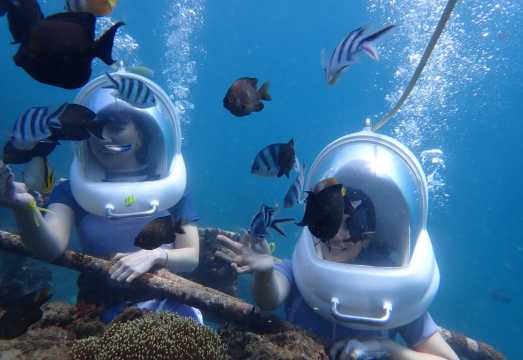 IndonesiaBaliDiscover divingscuba diving1 hours Pass [Experience Sea Walk and Parasailing]