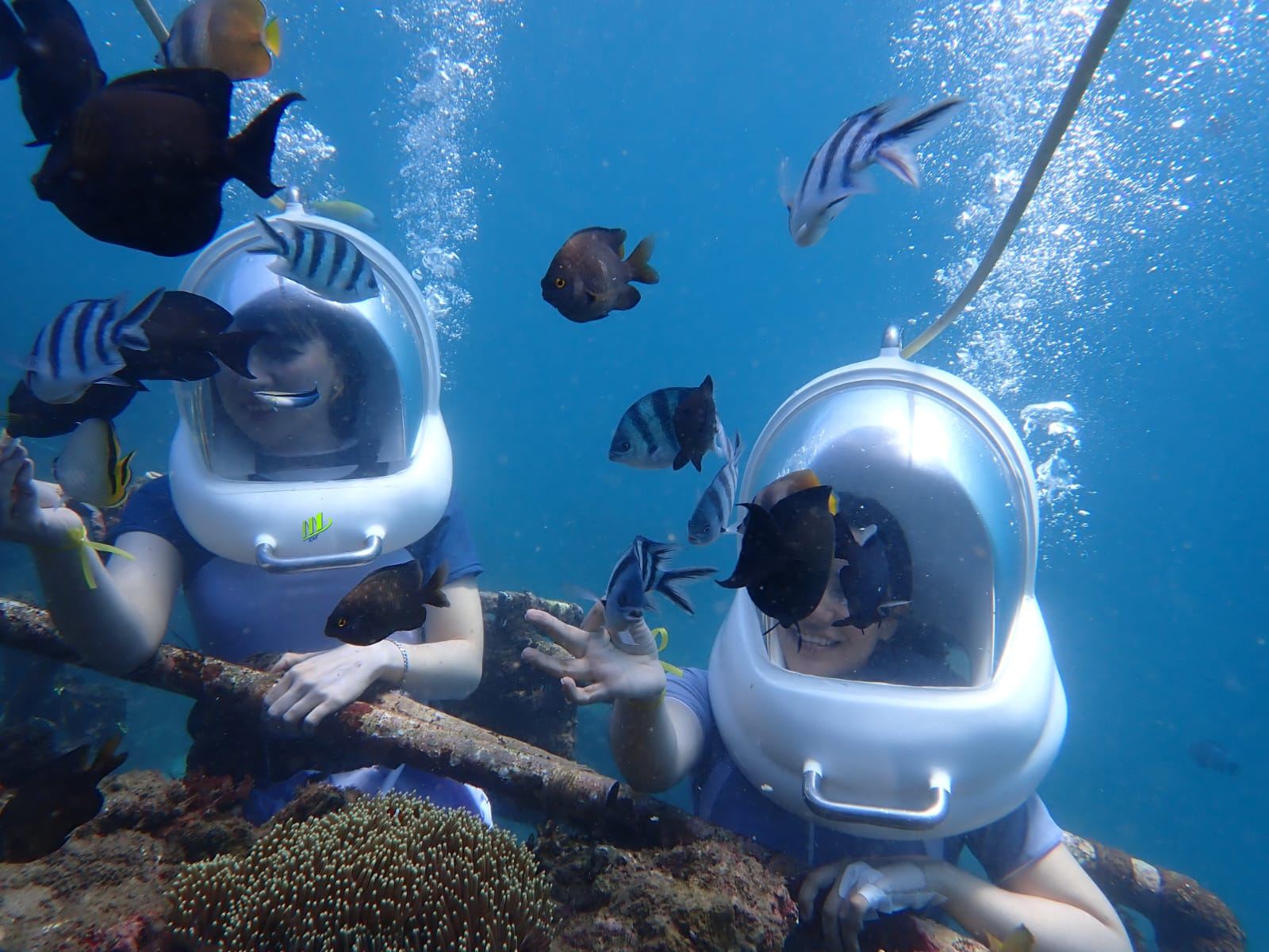 IndonesiaBaliScopri le immersioniimmersioni subacqueeAccesso di 1 ora [Esperienza Sea Walk e Parasailing]