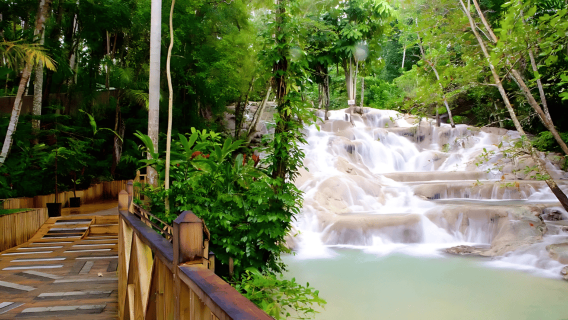 Ocho Rios Katamaran: Dunn's River, Schnorcheln & offene Bar