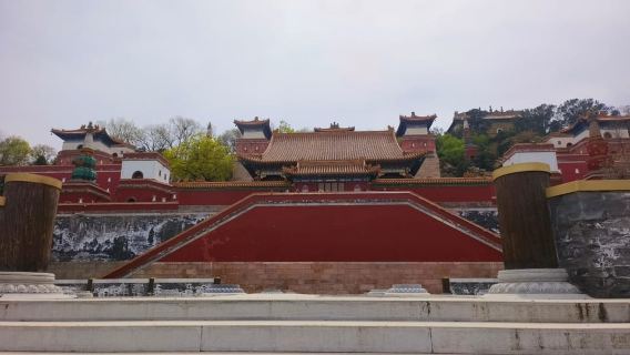 Beijing: Summer Palace Highlight Walking Tour