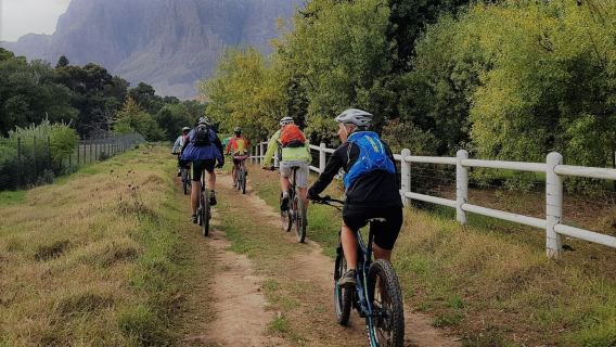 Franschhoek: Tour xe đạp điện kèm thử rượu vang và ăn trưa