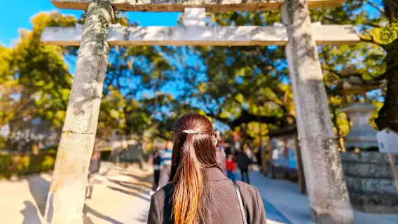 Dazaifu Tenmangu Shrine + Yanagawa Hakushu Sightseeing one-day tour[Private Small Group]