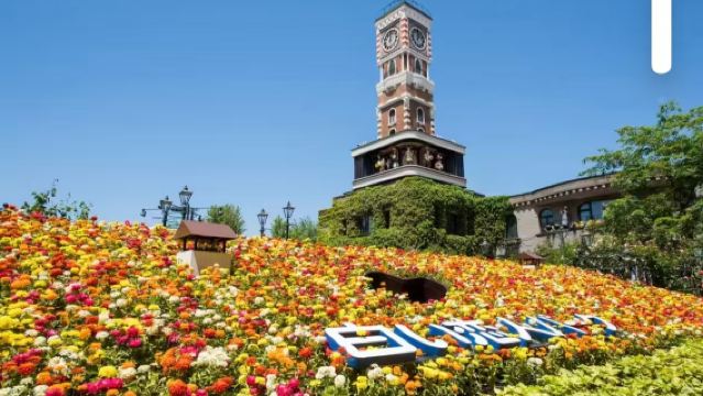 Sapporo Shiroi Koibito Park + Otaru + Cape Kamui 1-day tour