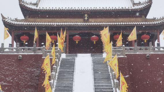 開封萬歲山+龍亭+天波楊府+翰園碑林+城牆+鐵塔-菊花文化節