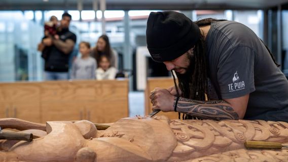 Auckland: Waitomo Caves & Te Puia Rotorua w Picnic Lunch