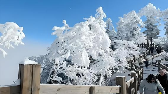 延吉長白山二道雪嶺/老里克湖一日遊【可選二道白河或延吉出發】
