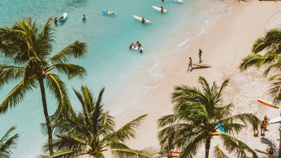 澳洲布里斯本衝浪者天堂+Q1大樓觀景台+夢幻世界一日遊