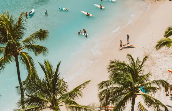 澳洲布里斯本衝浪者天堂+Q1大樓觀景台+夢幻世界一日遊