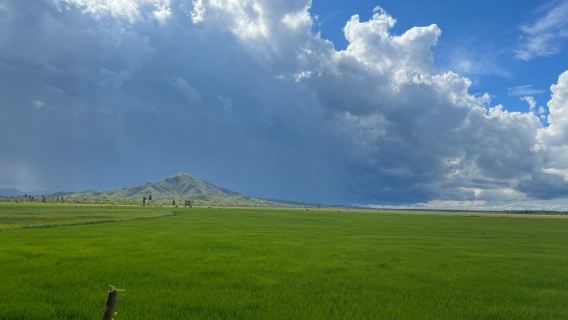 Saona VIP and Tropical Quad - 2-Day Tour