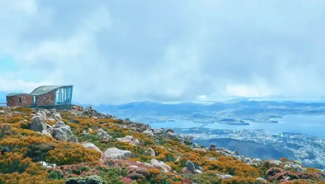 【悉尼】袋熊＆袋鼠＆瀑布全包一日遊（尋找方形粑粑獸GOGO）