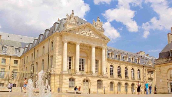 法國勃艮第-勃艮第酒莊參觀陪同+citywalk地陪導遊