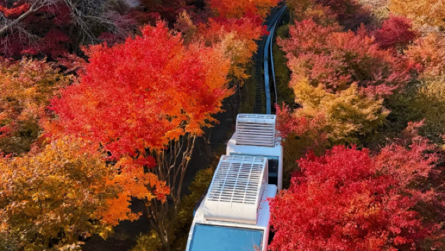 首爾近郊一日遊｜恩平韓屋村 × 和談林單軌列車｜中文包車專享
