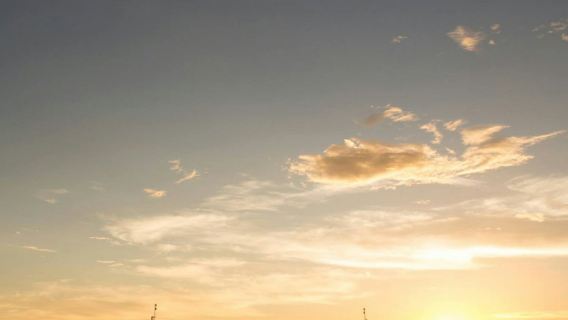 Harbour Cruise Bauhinia