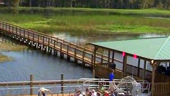 Wild Florida 1-Hour Everglades Airboat Tour