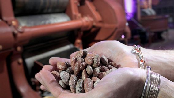 Turín: Tour Choco-Story + Audioguía + Cata de Chocolate