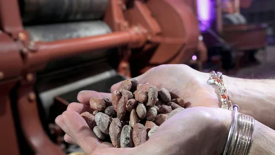 Turin: Choco-Story Tour + Audio Guide + Chocolate Tasting