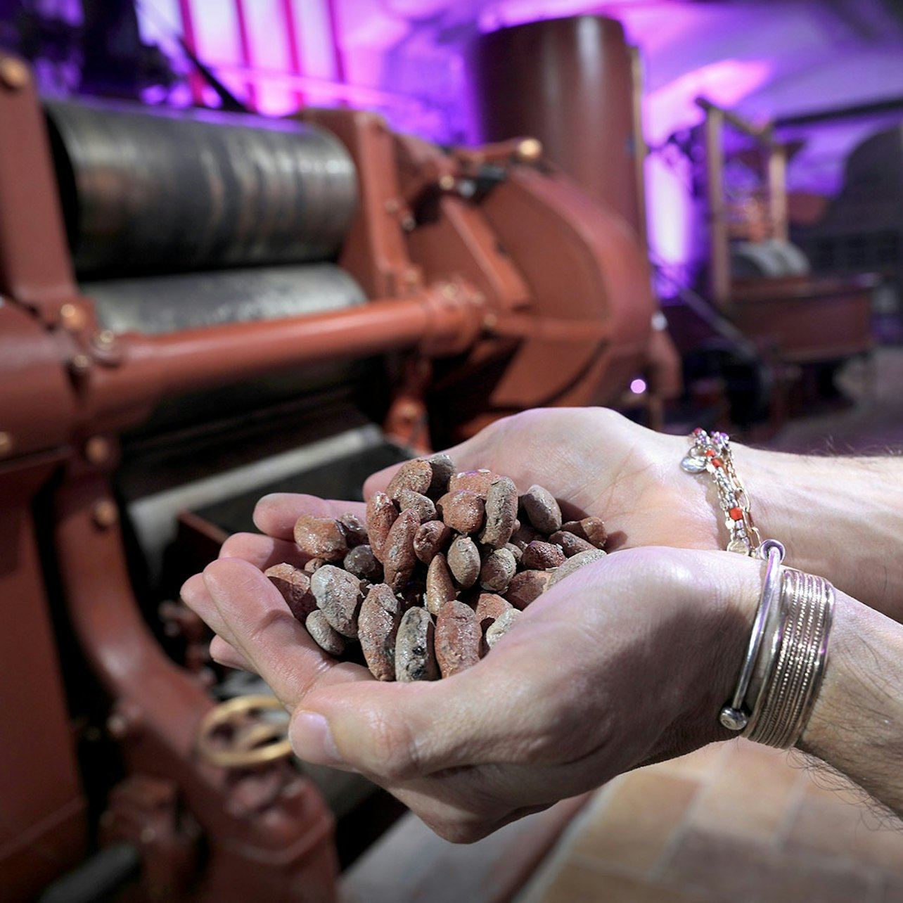 Torino: Choco-Story Tour + Audioguida + Degustazione di Cioccolato