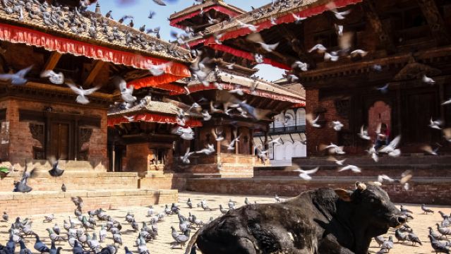 Kathmandu: tour panoramico di un'intera giornata con trasferimento privato