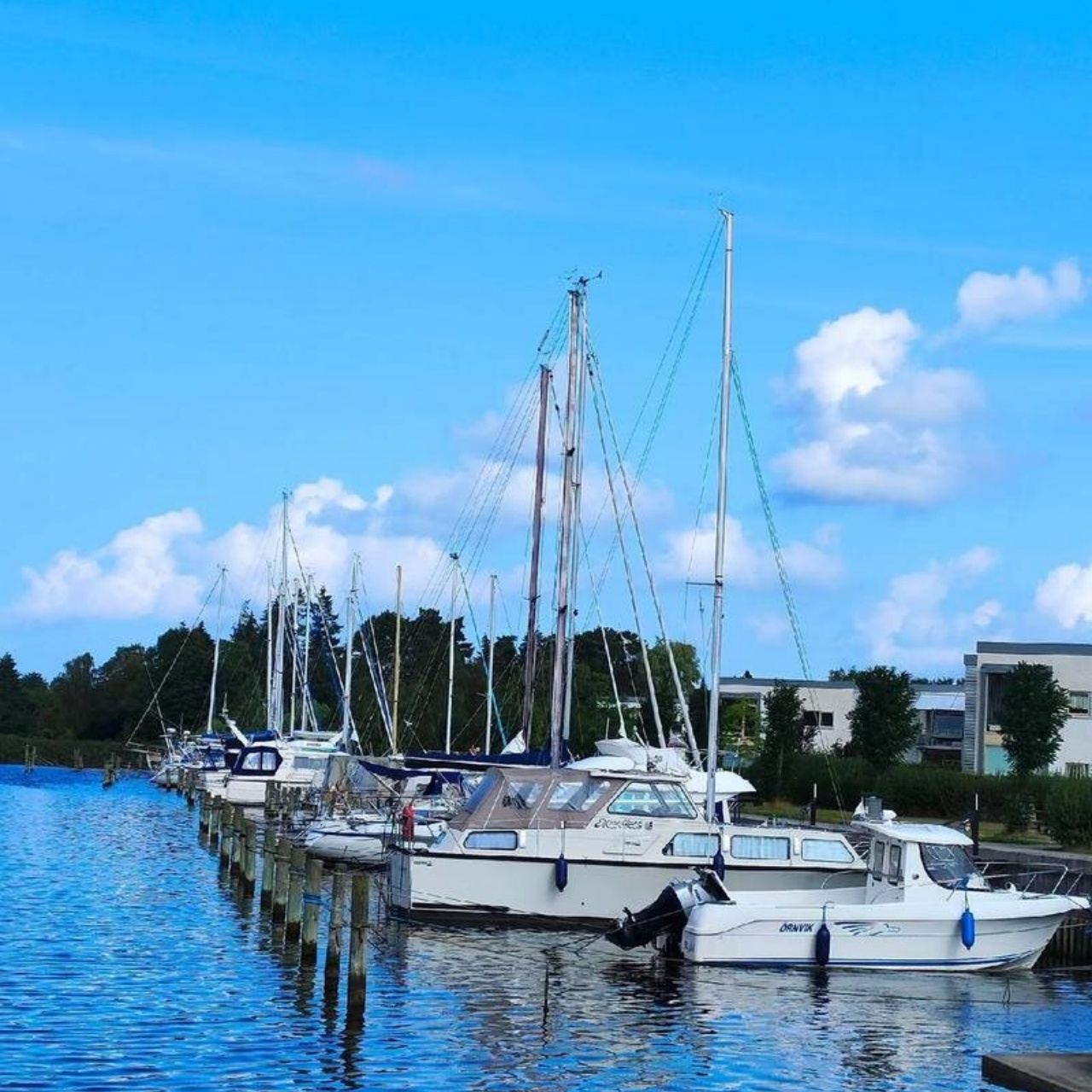 Copenhagen Day Tour with The Little Mermaid and Rosenborg Castle - Customizable Itinerary