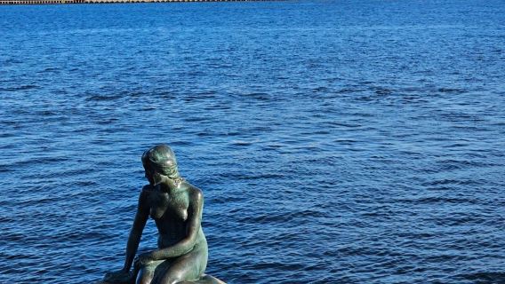 Denmark - Copenhagen The Little Mermaid Statue The Lakes Amalienborg Palace Exquisite Small Group Tour