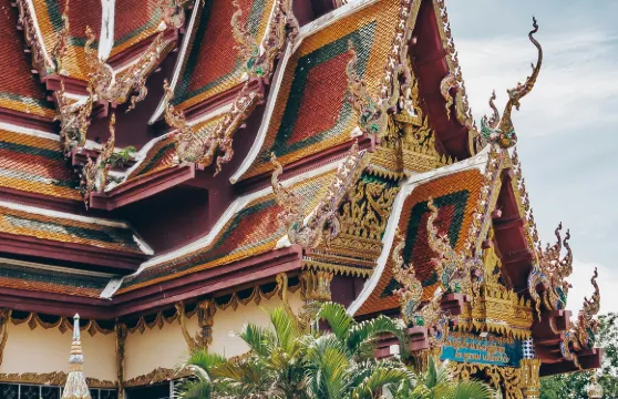 諮詢後下單/泰國蘇梅島查汶海灘南園島大佛海灘那通寺拉邁海灘/機場/點對點用車/旅遊旅行司導/專車服務