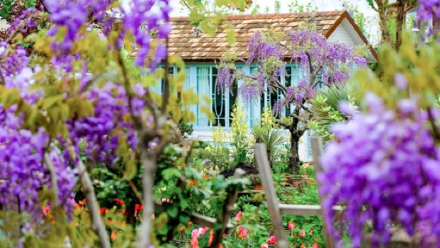 Pasar Jambatan Kering + Taman Bahasa Ibunda + Basani + Stadium Dinamo + Pasar Pusat + Taman Bunga