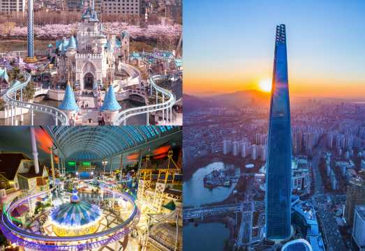 Lotte World Adventure+Seoul Sky1-day Tour
