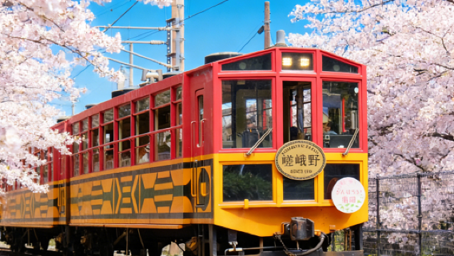 Kyoto Nara 1-Day Tour|Arashiyama train + Nara Park + Fushimi Inari + Departure from Osaka