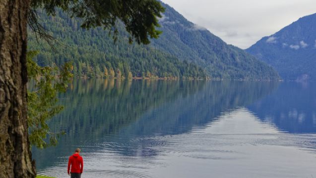 Lawatan sehari dari Seattle ke Taman Negara Olympic pergi-balik [Sewaan peribadi dengan pengambilan di tempat dalam bahasa Cina]