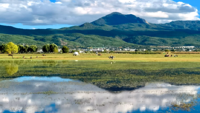 Yunnan Province - Kunming, Dali, Lijiang, Shangri-La, Chuxiong | Multilingual Professional Guides | Conference Interpretation | Business Inspection Interpretation | Travel Private Charter Customization | Airport Pick-up/Drop-off