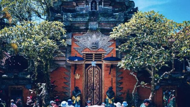 探検-バリ島ウブド：ティルタ ウンプル寺院+モンキーフォレスト+棚田+ウブド王宮＆市場ワンデーツアー