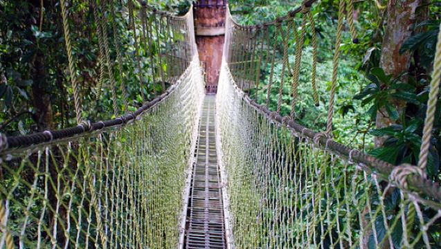 Tour sin compras | Excursión de un día al Árbol del Cielo en Xishuangbanna · Incluye guía + entrada + ida y vuelta + seguro