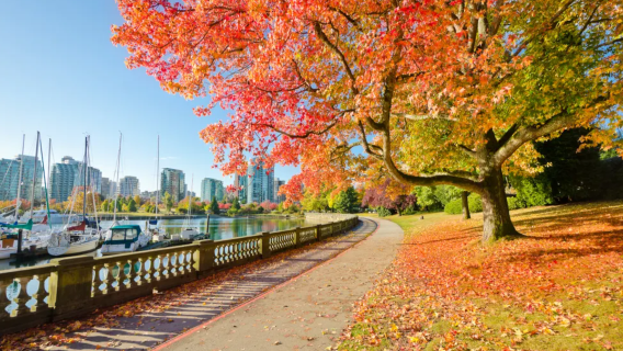 Chinese private charter tour - Montreal round-trip + Mont-Tremblant resort town + French countryside scenery