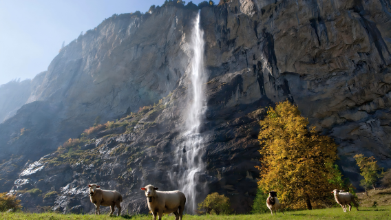 Grindelwald, Interlaken ve Lauterbrunnen 1 Günlük Tur [Rehberli Tur / Bilet Dahil Değil]