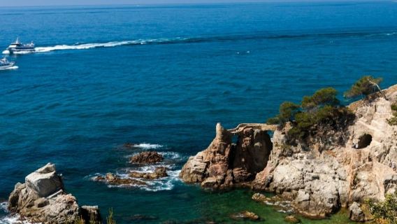 Κόστα Μπράβα: Οδηγούμενη ημερήσια εκδρομή από τη Βαρκελώνη