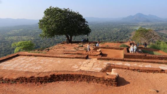 Sigiriya & Dambulla Day tour from Bentota Beruwala Ahungalle