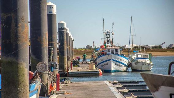 Tavira: Boat ride through the fishing villages of Santa Luzia and Cabanas