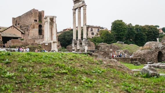 Rome: Colosseum, Palatine Hill & Roman Forum Guided Tour