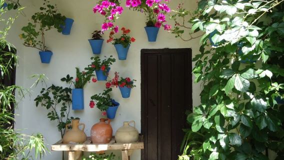 Cordoba: Patios & Wine Tasting