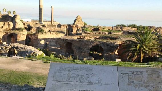 Medina, Bardo, Carthage & Sidi Bousaid tour with lunch