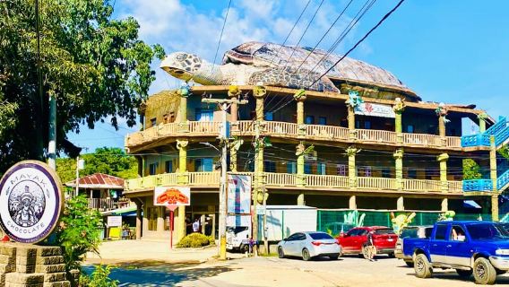 Roatan Island Tour + More