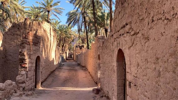 Oasis Adventure in Alula