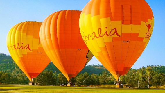 Gold Coast hot air balloon ride Hot Air tour: pick-up & drop-off at downtown hotels