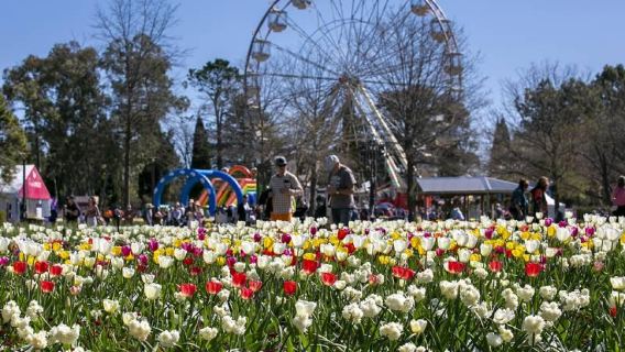 Lawatan sehari dari Sydney ke Canberra Pameran Bunga Floriade · Bangunan Parlimen Memorial Perang