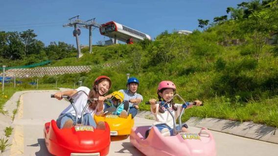 首爾一日遊丨江華斜坡滑車丨朝陽紡織咖啡店丨傳燈寺丨中文獨立包團