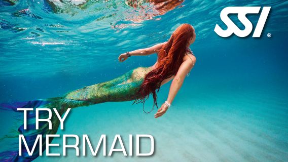 SSI Try Mermaid 2 Hours | Kota Kinabalu, Sabah